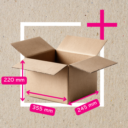 Pack Caja de Cartón 12C 355x245x220 MM